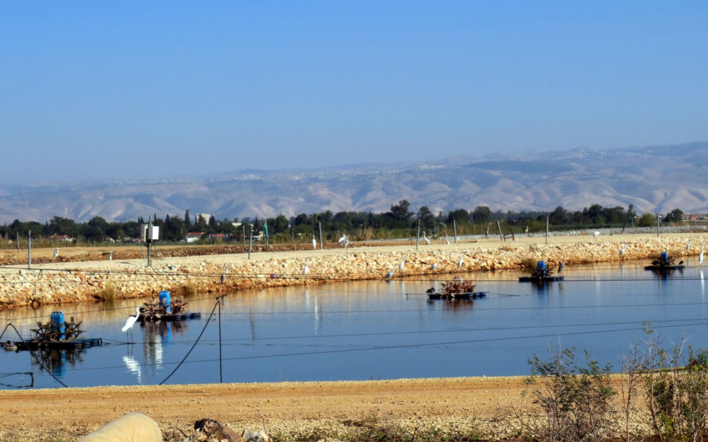 שביל עמק המעיינות קטע מספר 1 - 2
