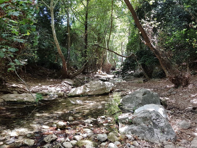 ממבצר המונפורט למצד אבירים