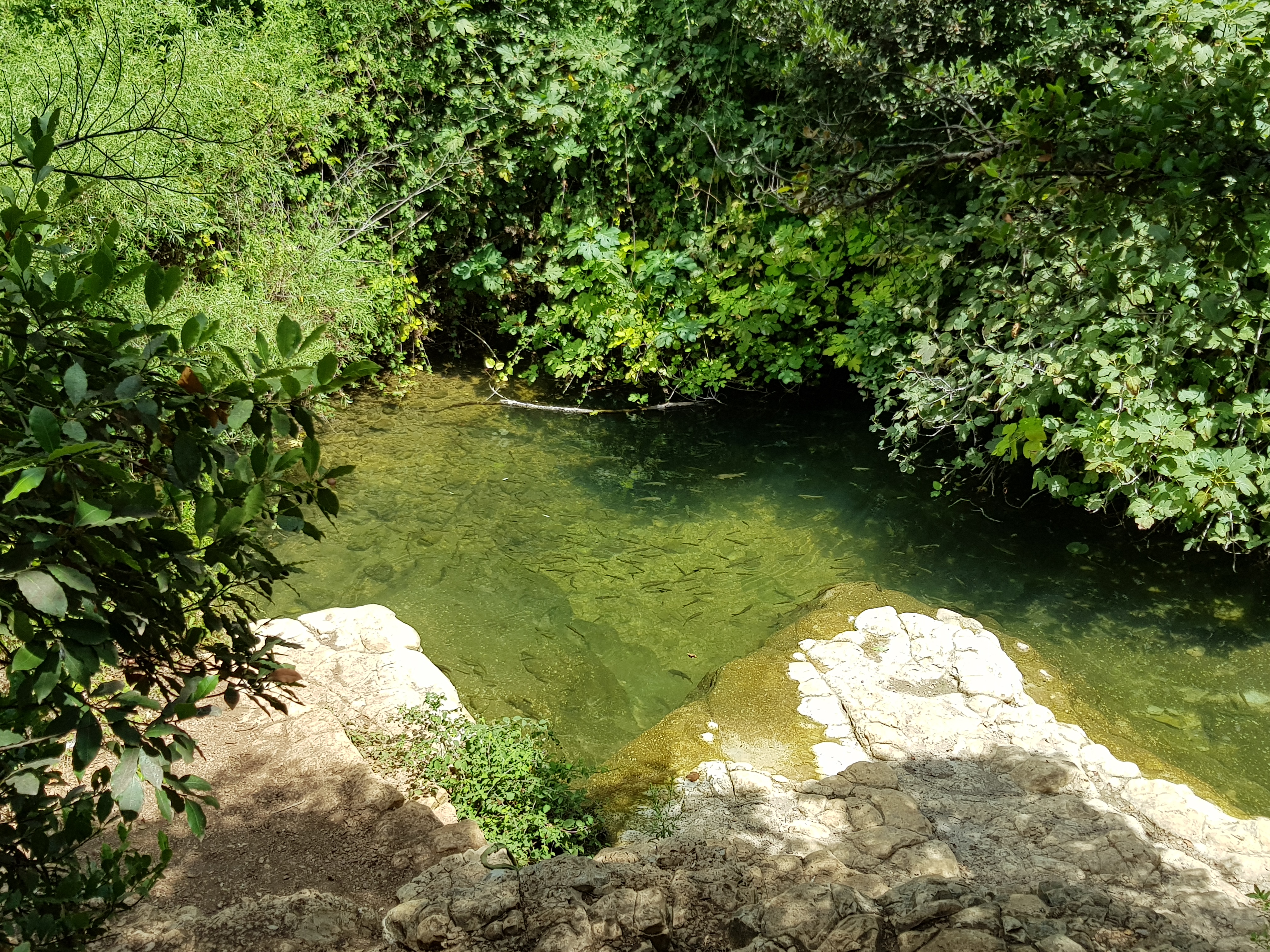 ממבצר המונפורט למצד אבירים
