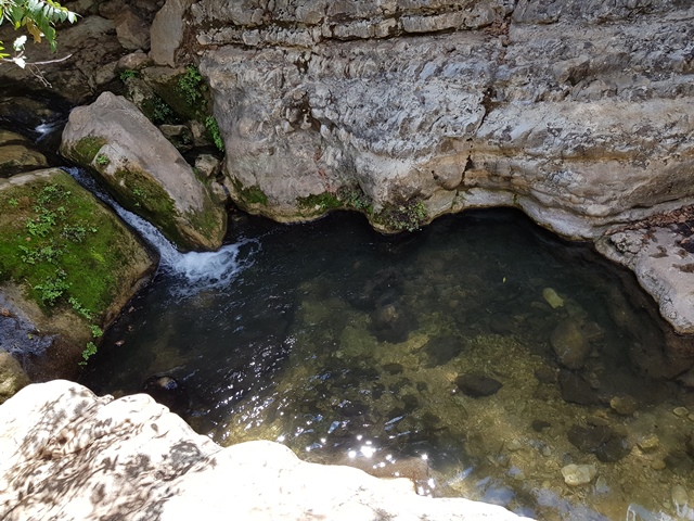 ממבצר המונפורט למצד אבירים