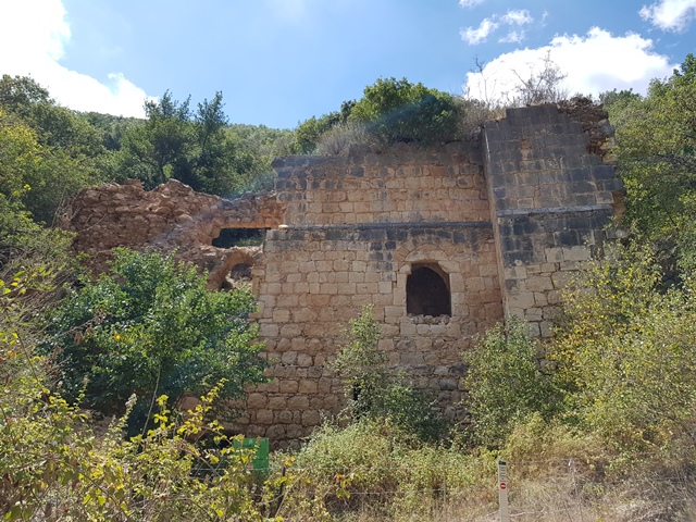 ממבצר המונפורט למצד אבירים