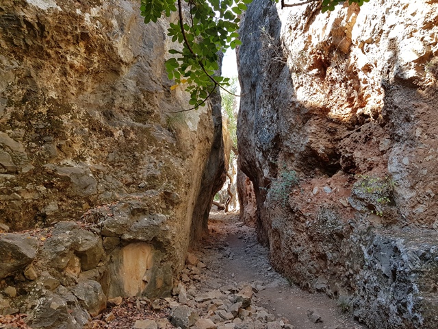 ממבצר המונפורט למצד אבירים