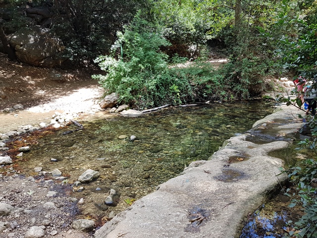 ממבצר המונפורט למצד אבירים