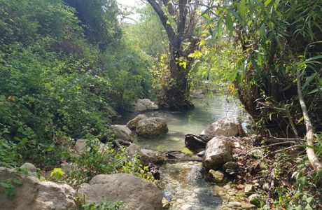 מחוף אכזיב למבצר המונפורט קטע מס’ 1 בשביל מים אל ים