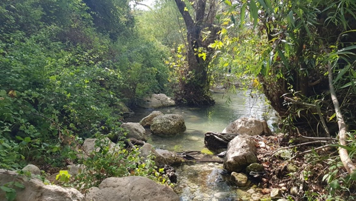מחוף אכזיב למבצר המונפורט קטע מס’ 1 בשביל מים אל ים