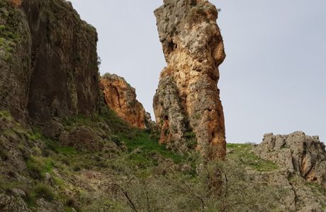 מחניון נחל עמוד לכנרת – קטע מס' 7 שביל מים אל ימה