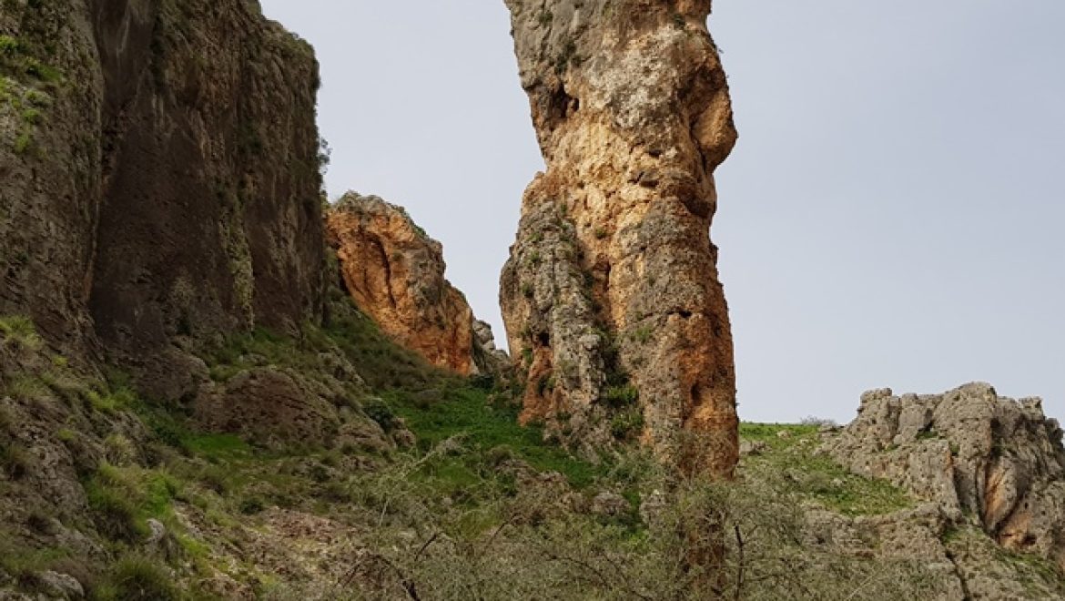 מחניון נחל עמוד לכנרת – קטע מס' 7 שביל מים אל ימה
