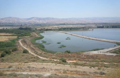 שביל עמק המעיינות קטע מס' 8 מכפר רופין לטירת צבי