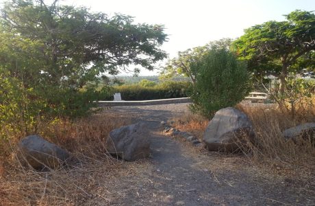 שביל עמק המעיינות קטע מס' 10 מתל תאומים לגן הלאומי בית שאן