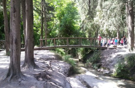 שביל רמות מנשה קטע מס 2 מעין חדוה להר גחר