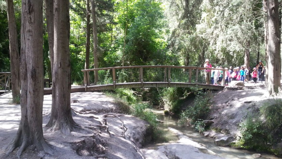 שביל רמות מנשה קטע מס 2 מעין חדוה להר גחר