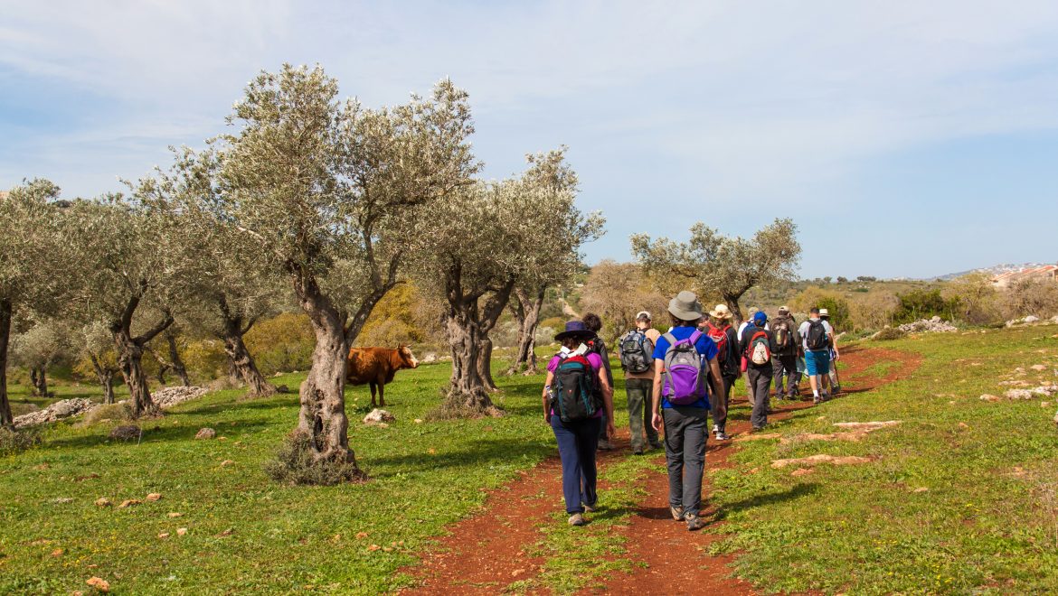 שביל ישראל מסלול מס’ 13 מנצרת עילית לאלון הגליל
