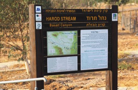 שביל עמק המעיינות קטע מס' 7 מחמדיה לכפר רופין