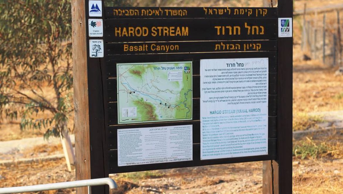 שביל עמק המעיינות קטע מס' 7 מחמדיה לכפר רופין